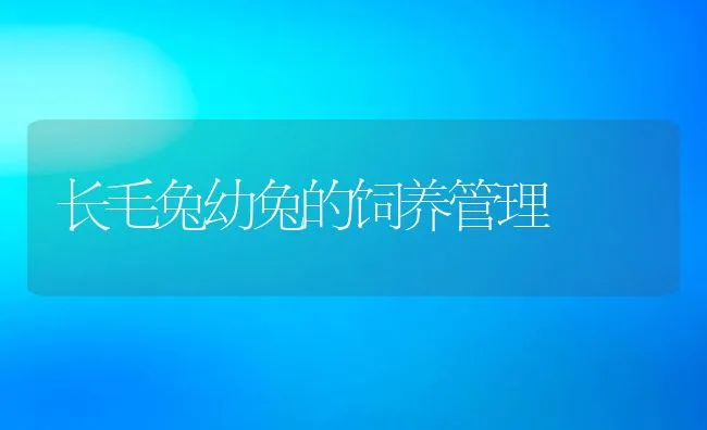 长毛兔幼兔的饲养管理 | 水产养殖知识