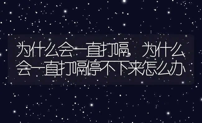 为什么会一直打嗝,为什么会一直打嗝停不下来怎么办 | 宠物百科知识