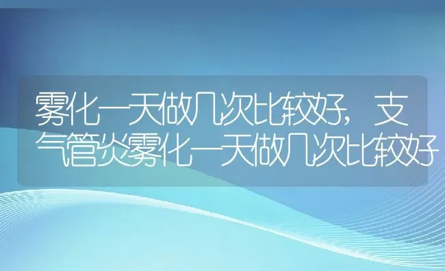 雾化一天做几次比较好,支气管炎雾化一天做几次比较好 | 宠物百科知识