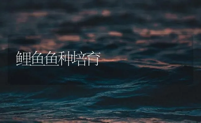 鲤鱼鱼种培育 | 海水养殖技术