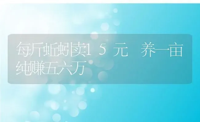 每斤蚯蚓卖15元 养一亩纯赚五六万 | 动物养殖百科