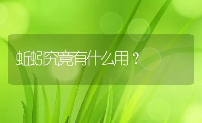 蚯蚓究竟有什么用？ | 动物养殖百科