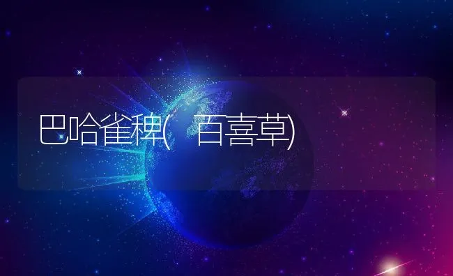 巴哈雀稗(百喜草) | 动物养殖学堂