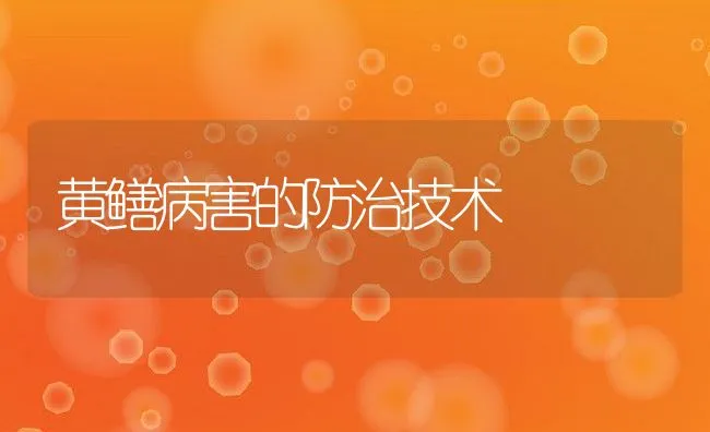 黄鳝病害的防治技术 | 水产养殖知识