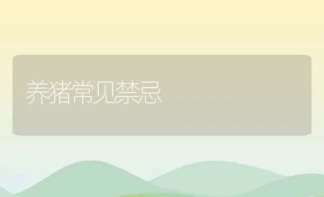 养猪常见禁忌 | 动物养殖百科