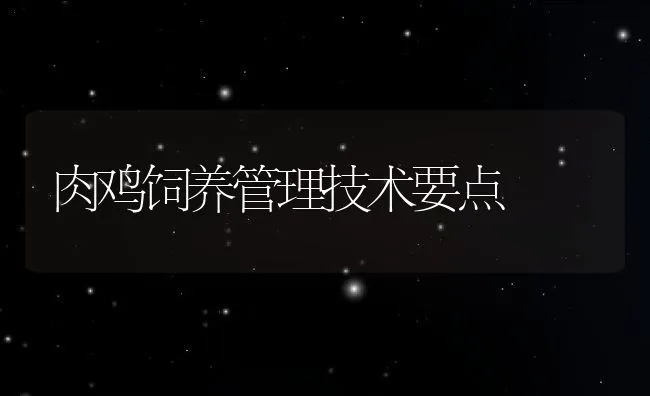 肉鸡饲养管理技术要点 | 动物养殖学堂