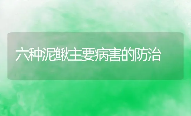 六种泥鳅主要病害的防治 | 动物养殖学堂