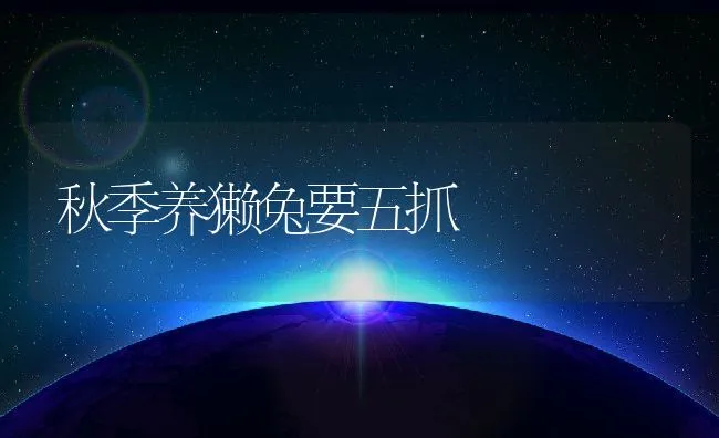 秋季养獭兔要五抓 | 水产养殖知识