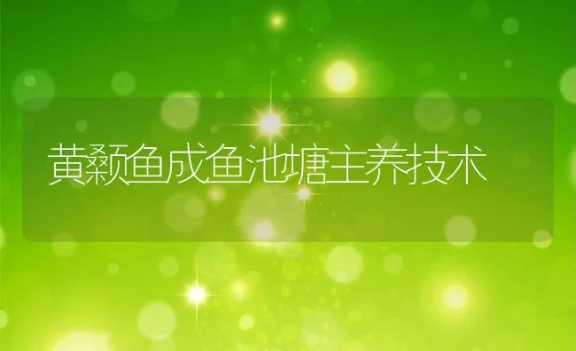 黄颡鱼成鱼池塘主养技术 | 动物养殖饲料