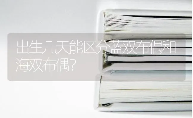 出生几天能区分蓝双布偶和海双布偶？ | 动物养殖问答