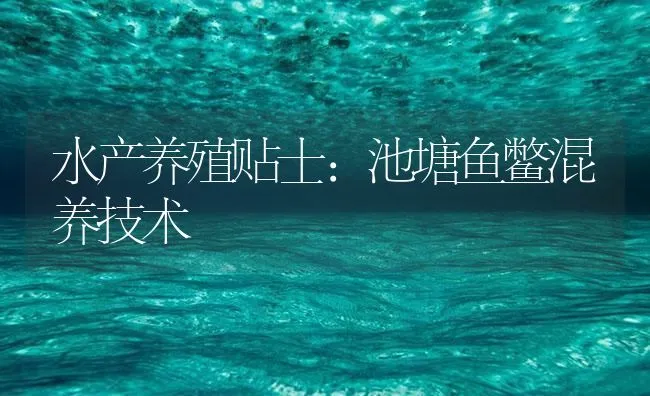 水产养殖贴士：池塘鱼鳖混养技术 | 海水养殖技术