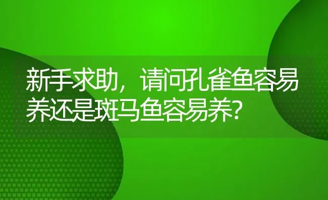 新手求助，请问孔雀鱼容易养还是斑马鱼容易养？ | 鱼类宠物饲养