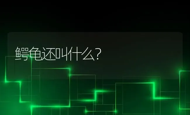 鳄龟还叫什么？ | 动物养殖问答