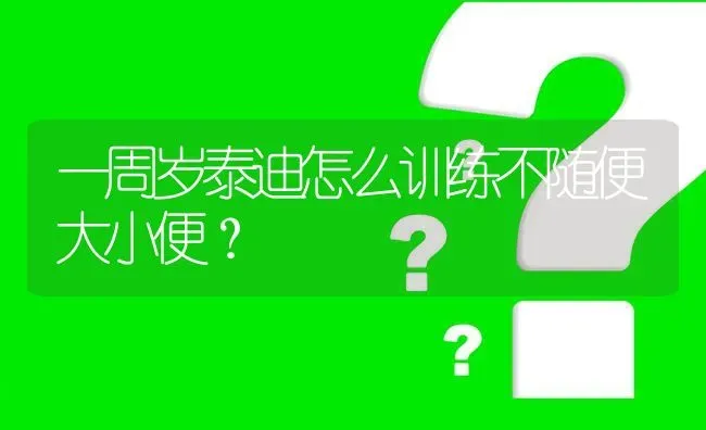 一周岁泰迪怎么训练不随便大小便？ | 动物养殖问答