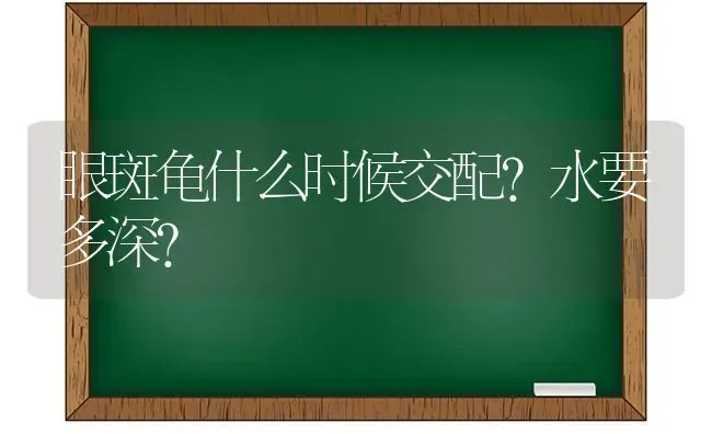 眼斑龟什么时候交配？水要多深？ | 动物养殖问答