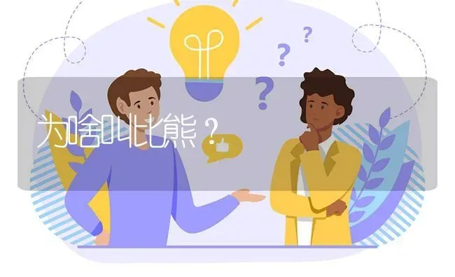 为啥叫比熊？ | 动物养殖问答