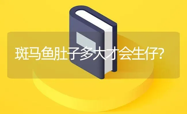 清道夫为什么吃掉招财鱼的尾巴？ | 鱼类宠物饲养