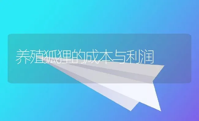 养殖狐狸的成本与利润 | 动物养殖百科