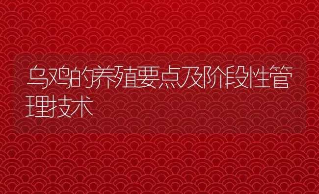 乌鸡的养殖要点及阶段性管理技术 | 动物养殖百科