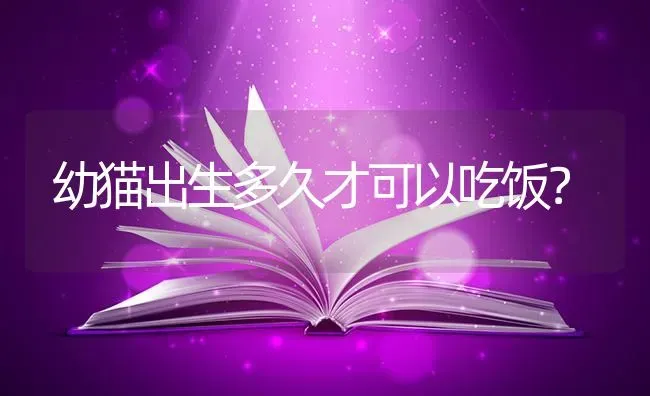 幼猫出生多久才可以吃饭？ | 动物养殖问答