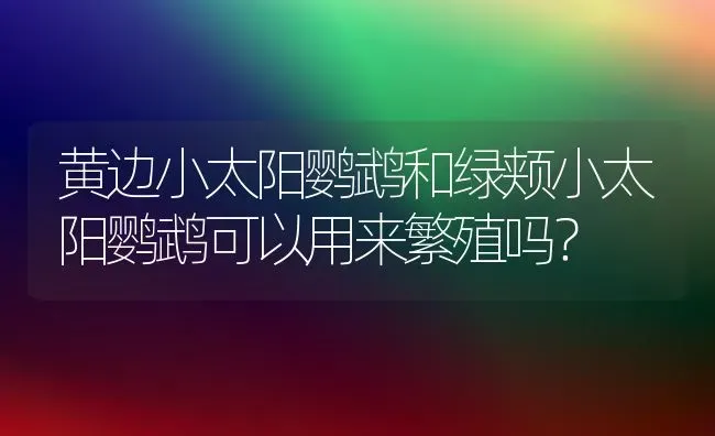 黄边小太阳鹦鹉和绿颊小太阳鹦鹉可以用来繁殖吗？ | 动物养殖问答