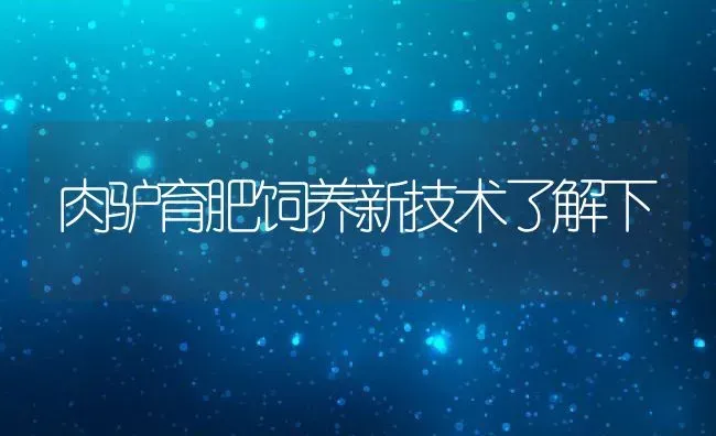 肉驴育肥饲养新技术了解下 | 动物养殖教程