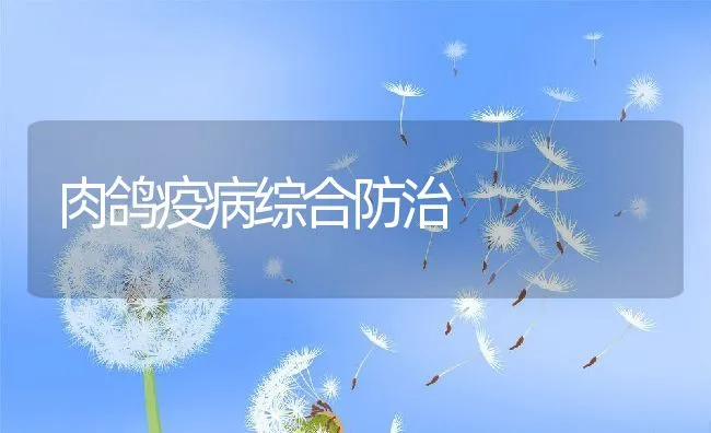 肉鸽疫病综合防治 | 水产养殖知识