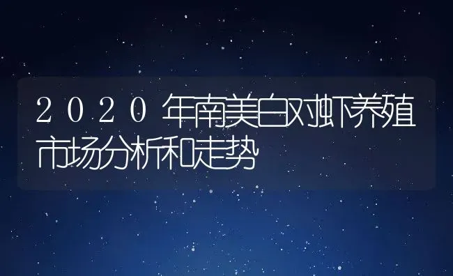 2020年南美白对虾养殖市场分析和走势 | 动物养殖百科