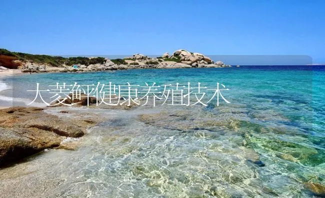 大菱鲆健康养殖技术 | 海水养殖技术