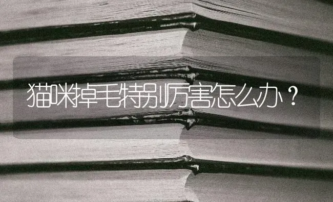 狗狗早晨起来突然呕吐是怎么回事？ | 动物养殖问答