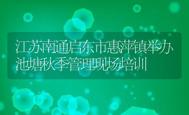 河蟹池塘套养鳜鱼技术介绍 | 海水养殖技术