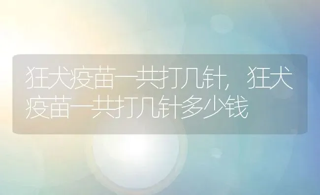 狂犬疫苗一共打几针,狂犬疫苗一共打几针多少钱 | 宠物百科知识