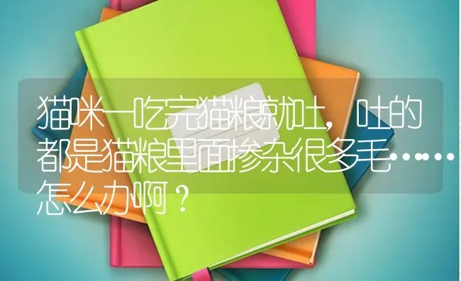 猫咪一吃完猫粮就吐，吐的都是猫粮里面掺杂很多毛……怎么办啊？ | 动物养殖问答