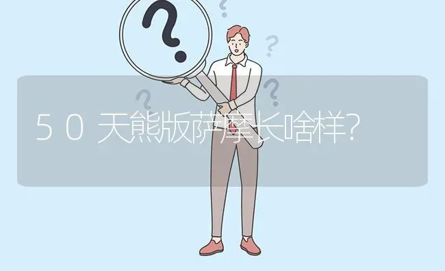 50天熊版萨摩长啥样？ | 动物养殖问答