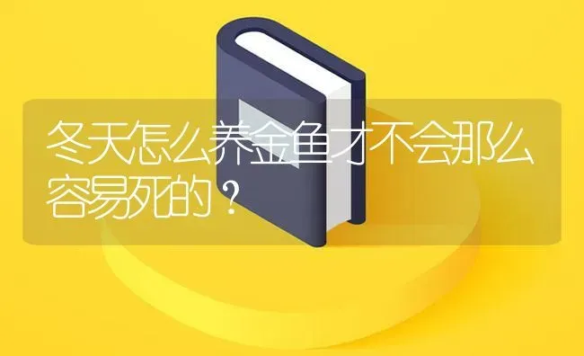 冬天怎么养金鱼才不会那么容易死的？ | 鱼类宠物饲养