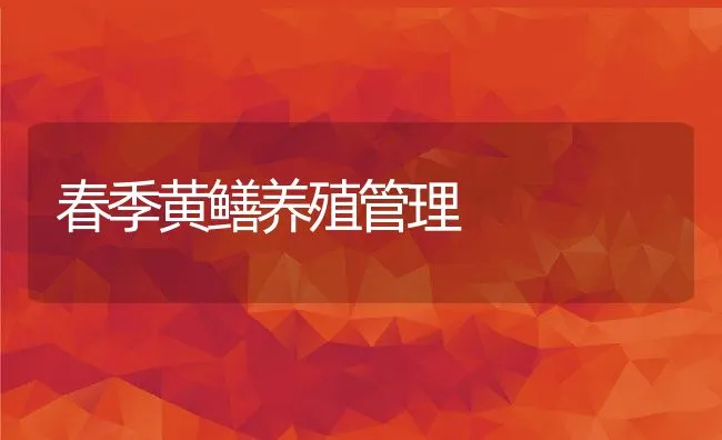 三四月份水产养殖鱼池清整与消毒的方法 | 海水养殖技术