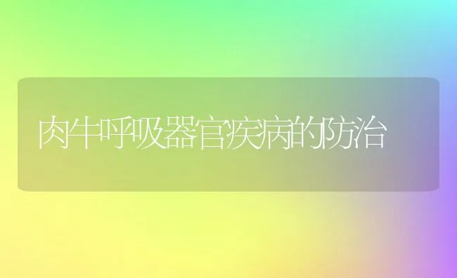 肉牛呼吸器官疾病的防治 | 动物养殖学堂