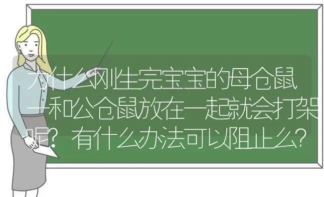 为什么刚生完宝宝的母仓鼠一和公仓鼠放在一起就会打架呢?有什么办法可以阻止么？ | 动物养殖问答