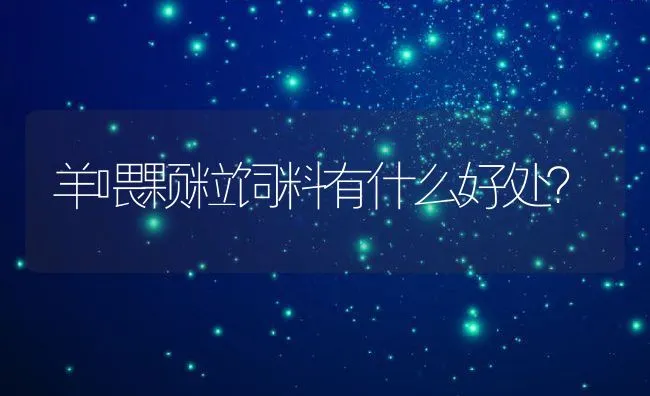 羊喂颗粒饲料有什么好处？ | 动物养殖饲料