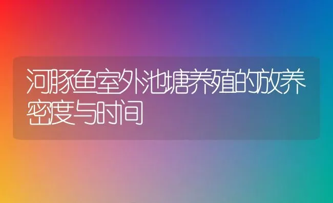 河豚鱼室外池塘养殖的放养密度与时间 | 动物养殖教程