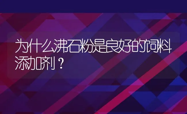 为什么沸石粉是良好的饲料添加剂？ | 动物养殖饲料