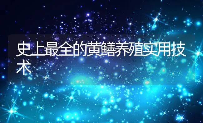 史上最全的黄鳝养殖实用技术 | 动物养殖学堂