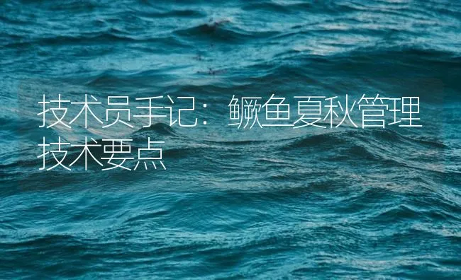 技术员手记：鳜鱼夏秋管理技术要点 | 海水养殖技术