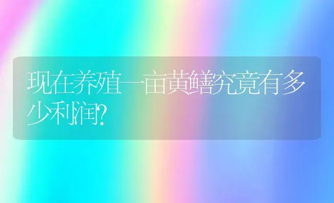 现在养殖一亩黄鳝究竟有多少利润？ | 动物养殖百科