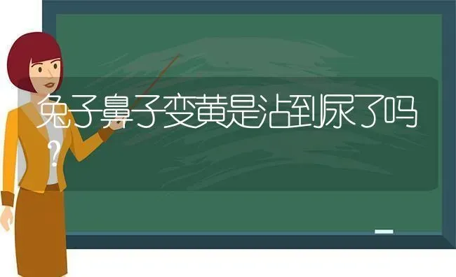 兔子鼻子变黄是沾到尿了吗？ | 动物养殖问答