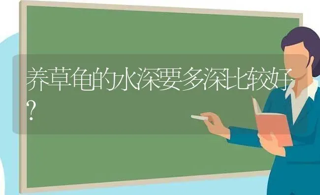 养草龟的水深要多深比较好？ | 动物养殖问答