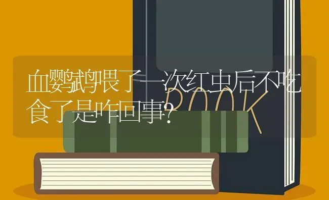 血鹦鹉喂了一次红虫后不吃食了是咋回事？ | 鱼类宠物饲养