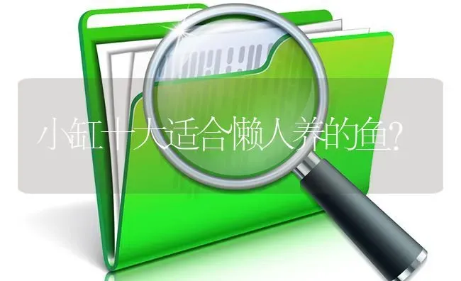 小鱼沉底不动怎么回事？ | 鱼类宠物饲养