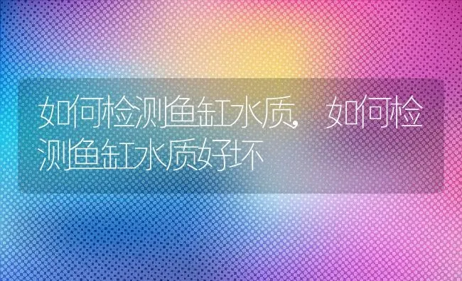 如何检测鱼缸水质,如何检测鱼缸水质好坏 | 宠物百科知识