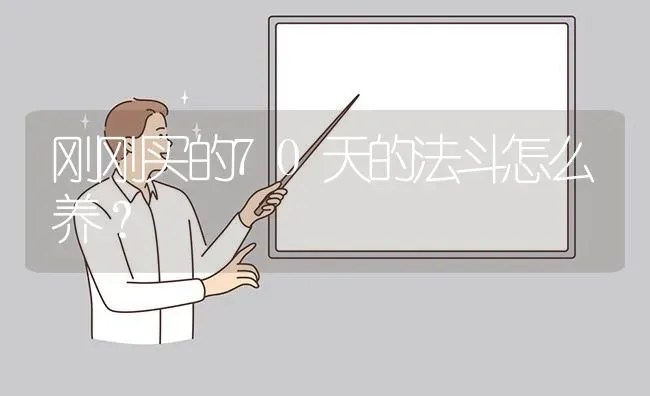 刚刚买的70天的法斗怎么养？ | 动物养殖问答